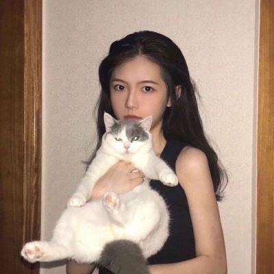 王牌二战官方下载